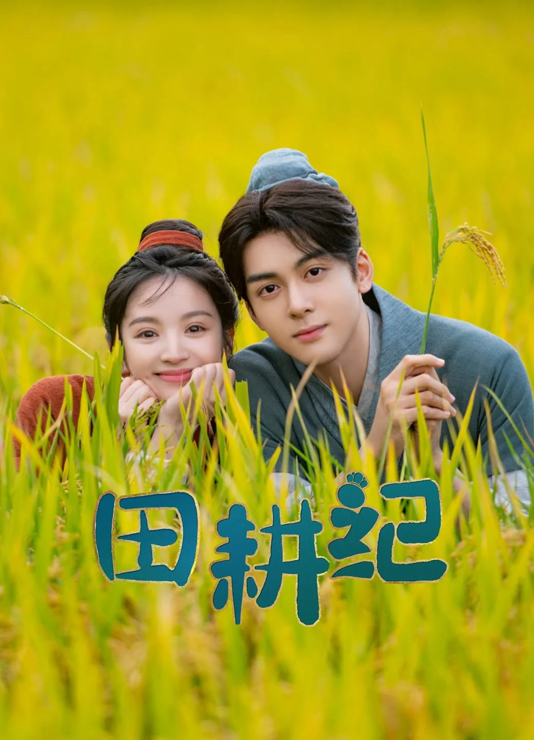 Poster phim Điền Canh Kỷ