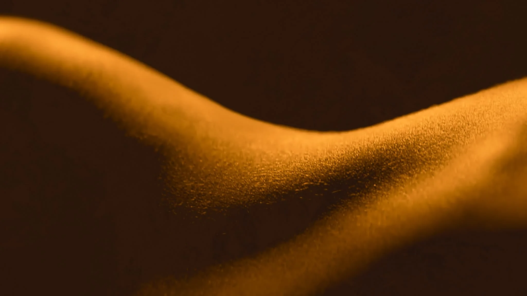 Giải Mã Tình Dục (Sex, Explained)