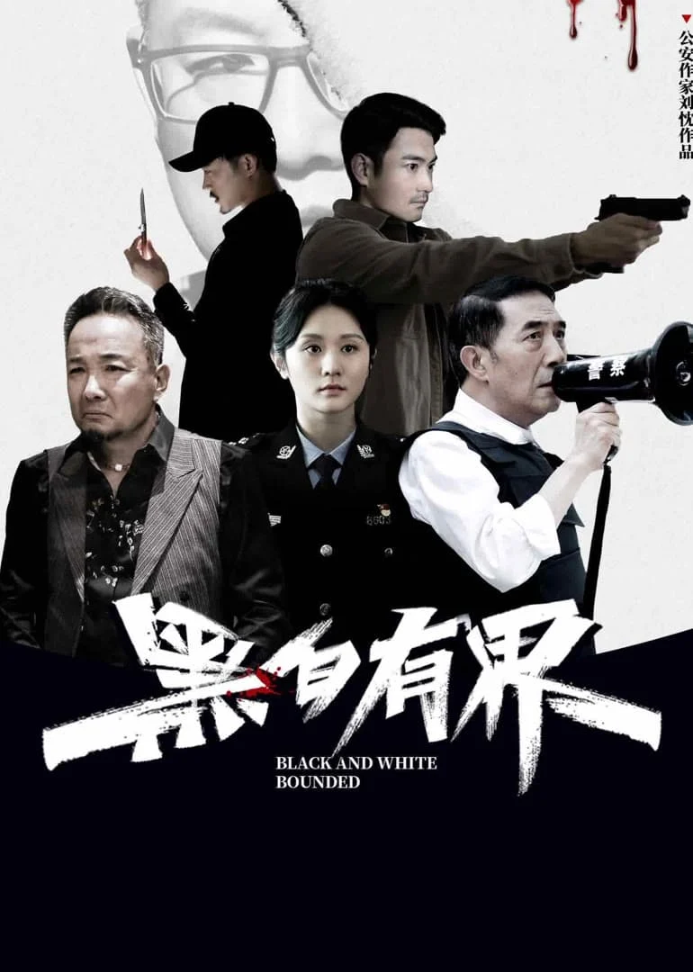 Poster phim Hắc Bạch Hữu Giới