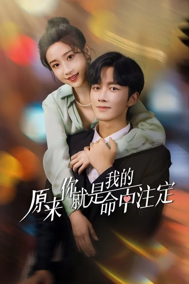 Poster phim Hoá Ra Em Là Định Mệnh Đời Anh