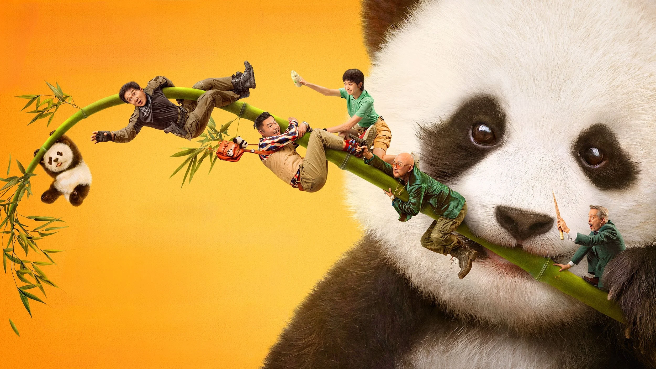 Kế Hoạch Panda (Panda Plan)