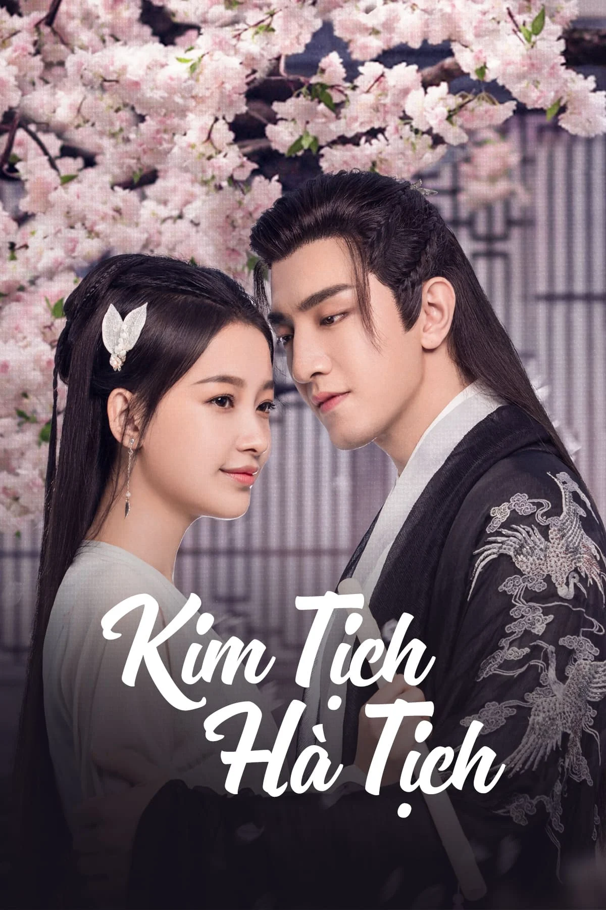 Poster phim Kim Tịch Hà Tịch