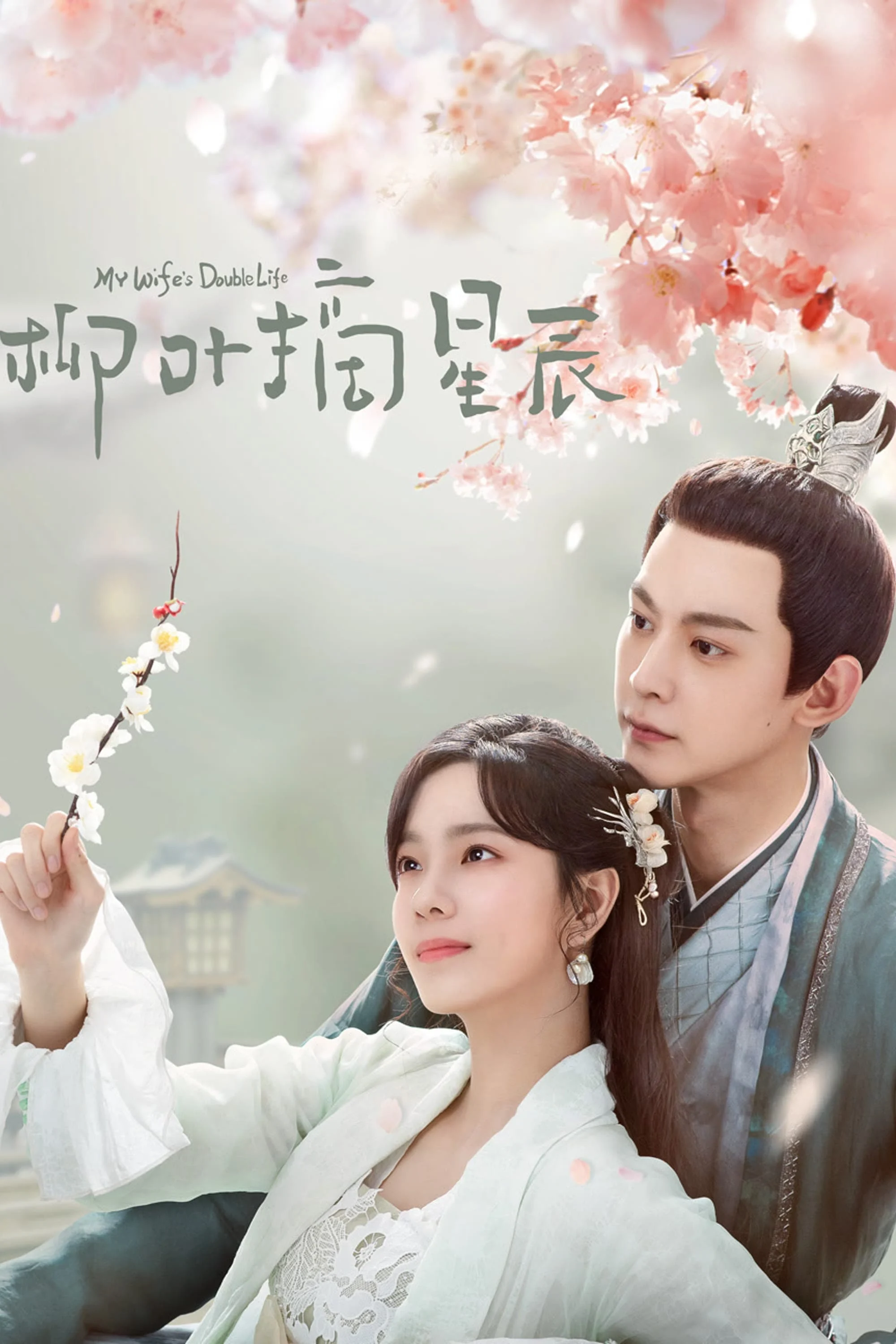 Poster phim Liễu Diệp Trích Tinh Thần