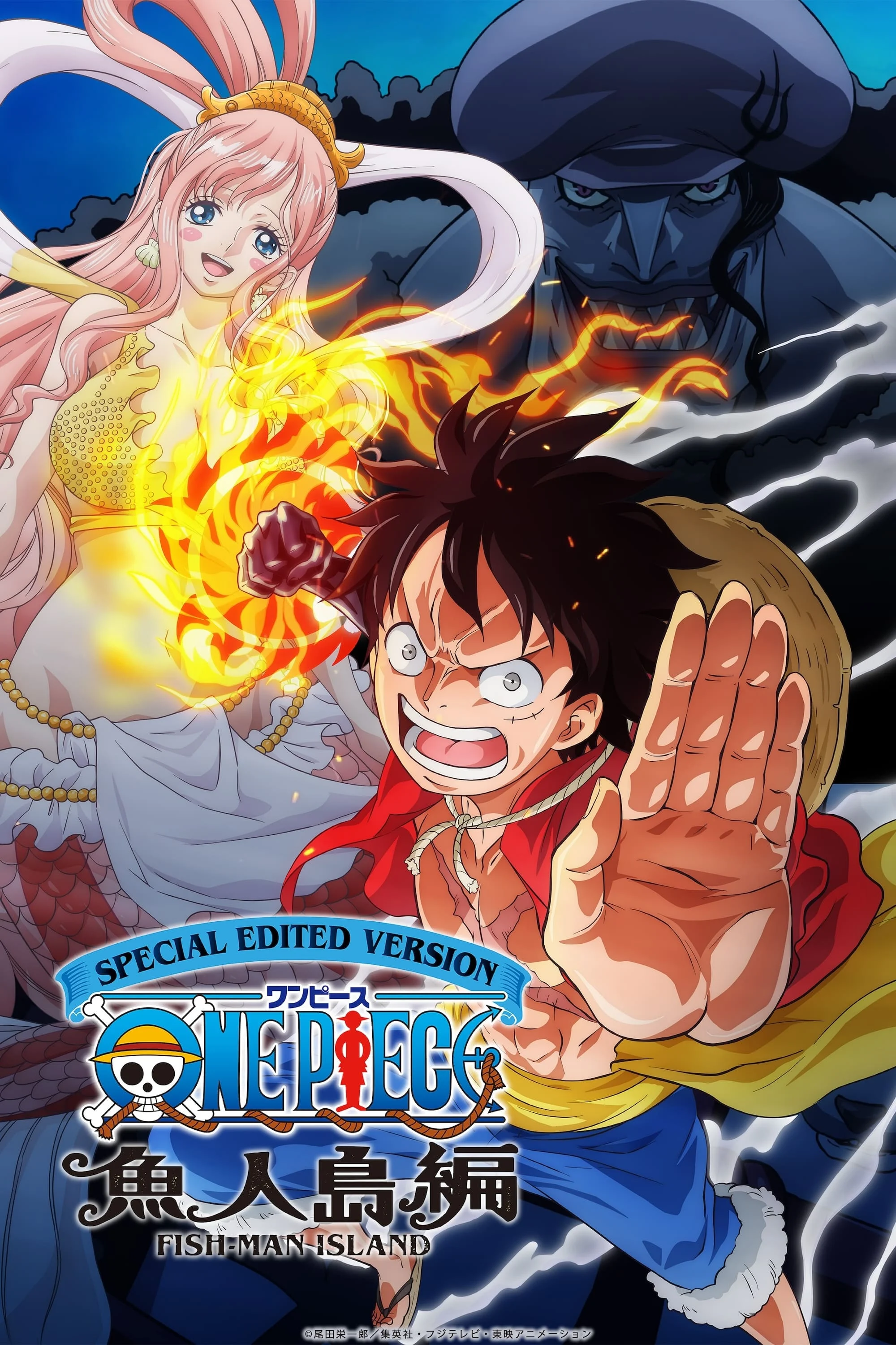 Poster phim Nhật Ký Hải Trình: One Piece Truyền Kỳ Đảo Người Cá