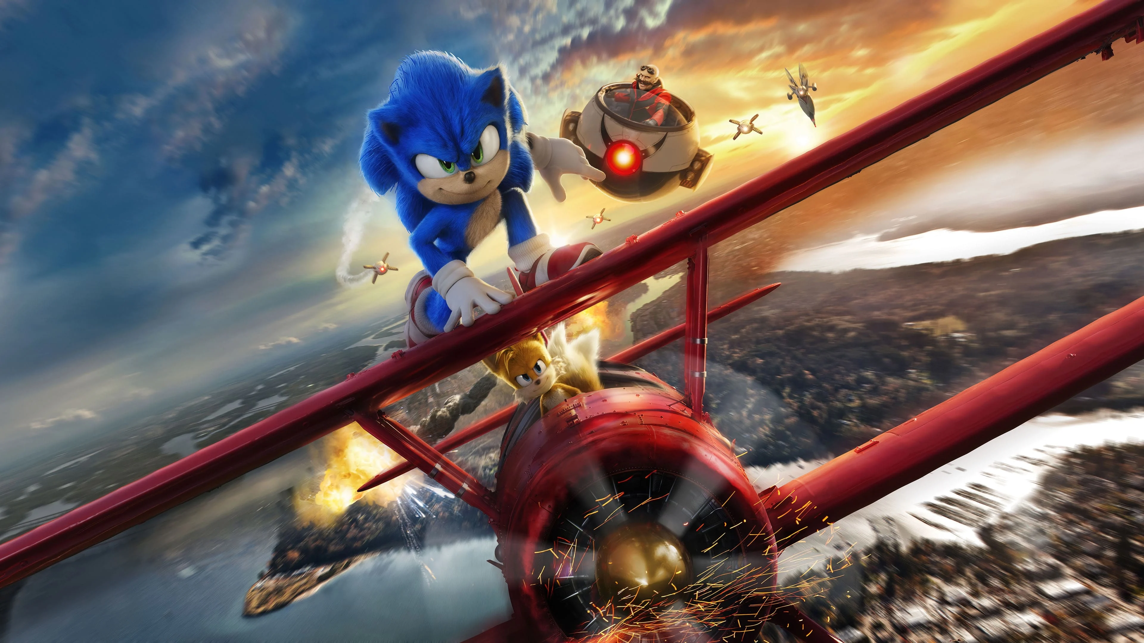 Nhím Sonic 2 (Sonic the Hedgehog 2)