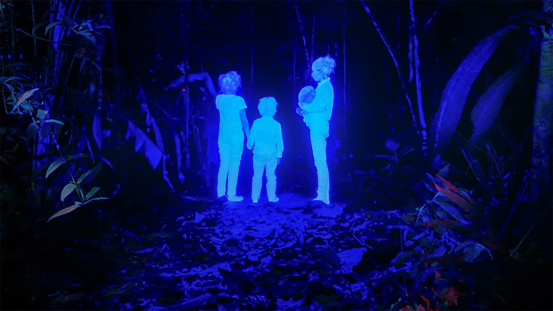 Những Đứa Trẻ Mất Tích Ở Amazon (The Lost Childrenn)