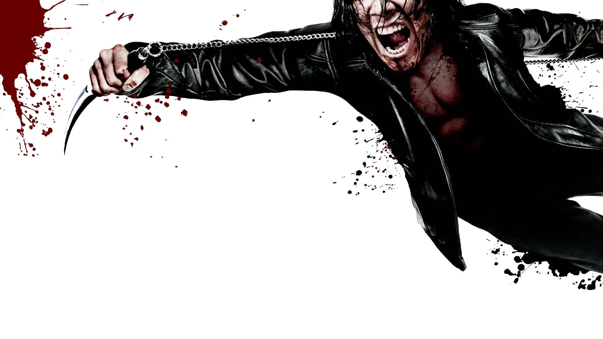 Ninja Sát Thủ (Ninja Assassin)