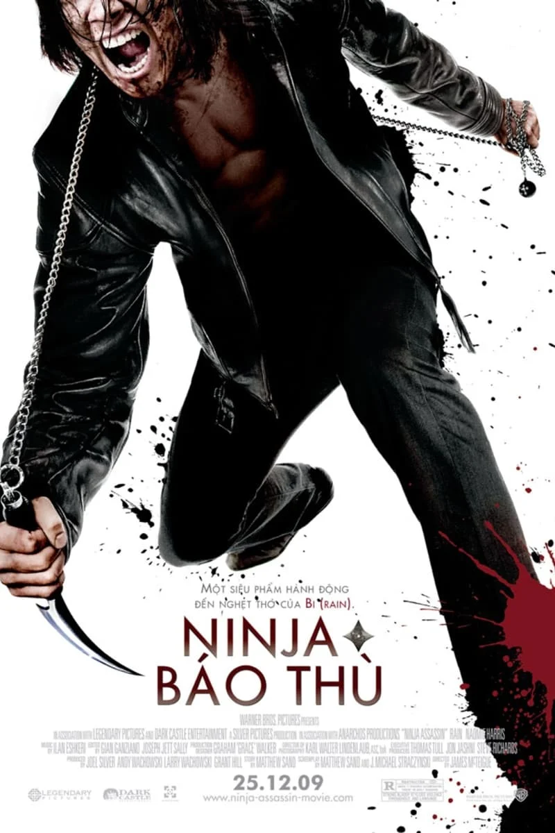 Poster phim Ninja Sát Thủ