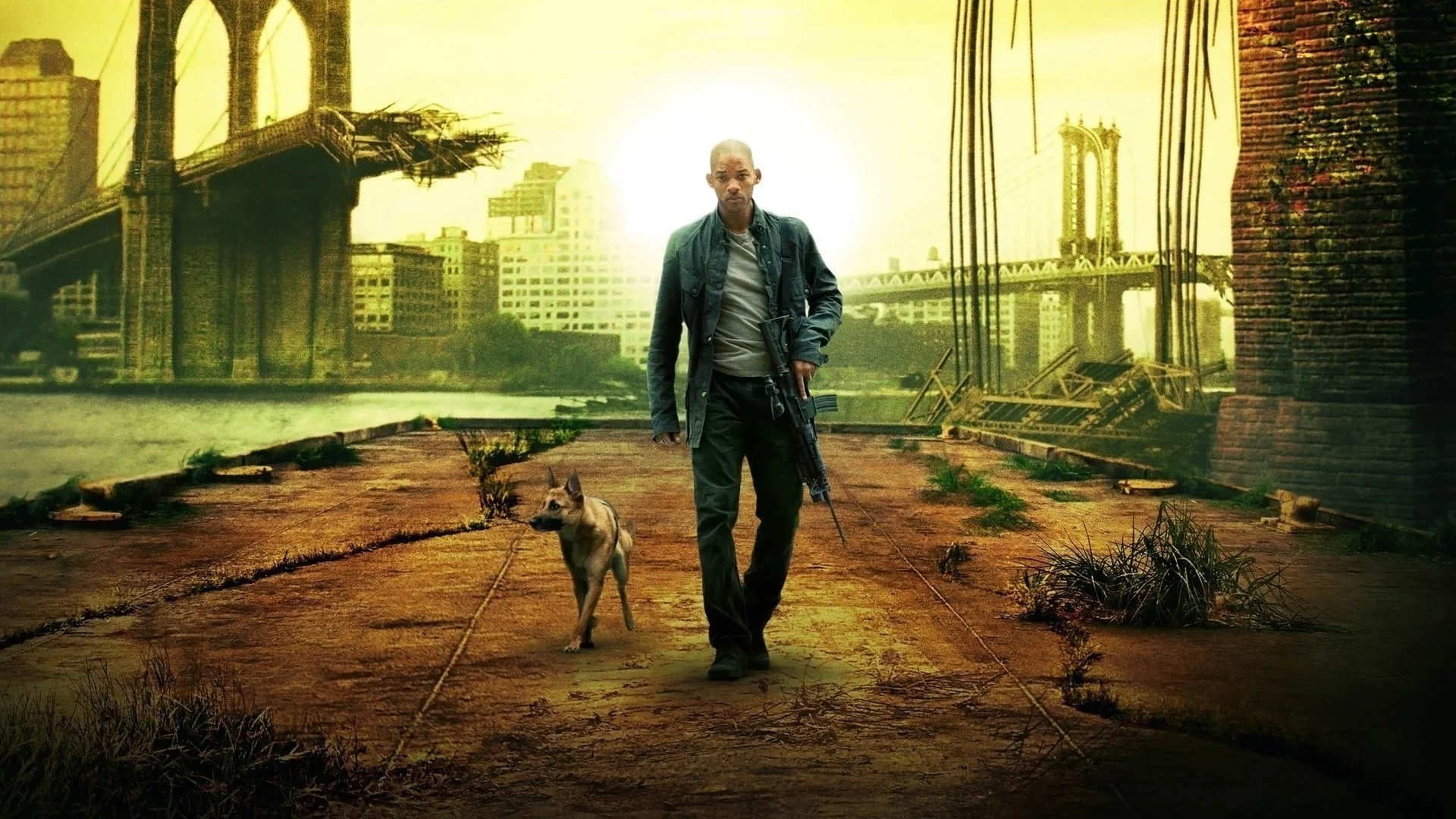 Tôi Là Huyền Thoại (I Am Legend)