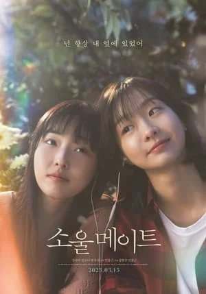 Poster phim Tri Kỷ