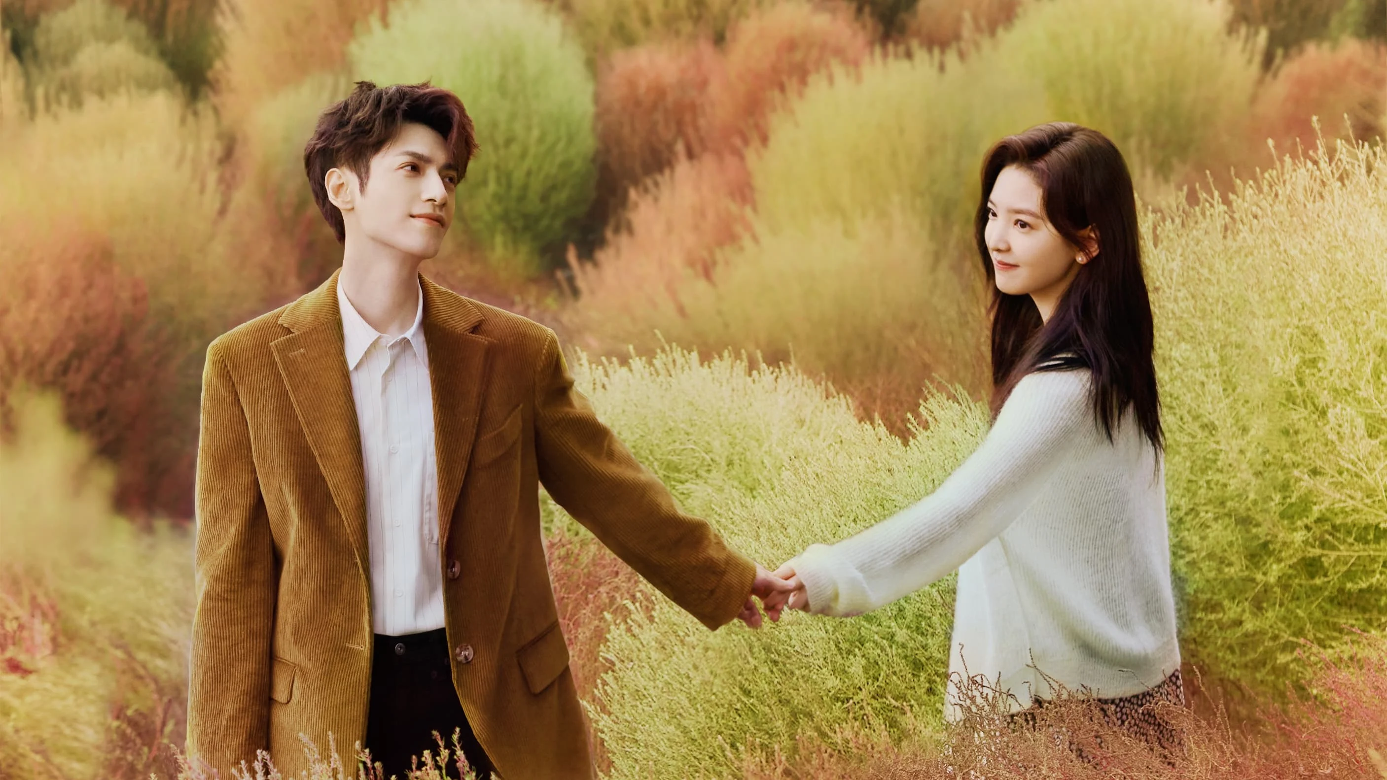 Người Tình Chữa Lành (Love Is Panacea)