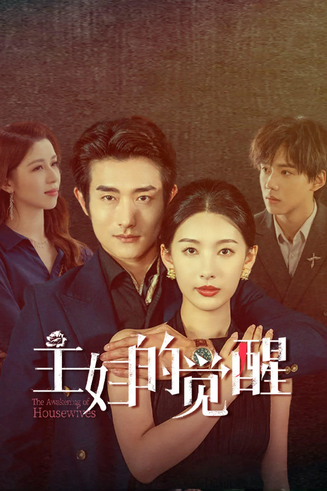 Poster phim Sự Giác Ngộ Của Bà Nội Trợ