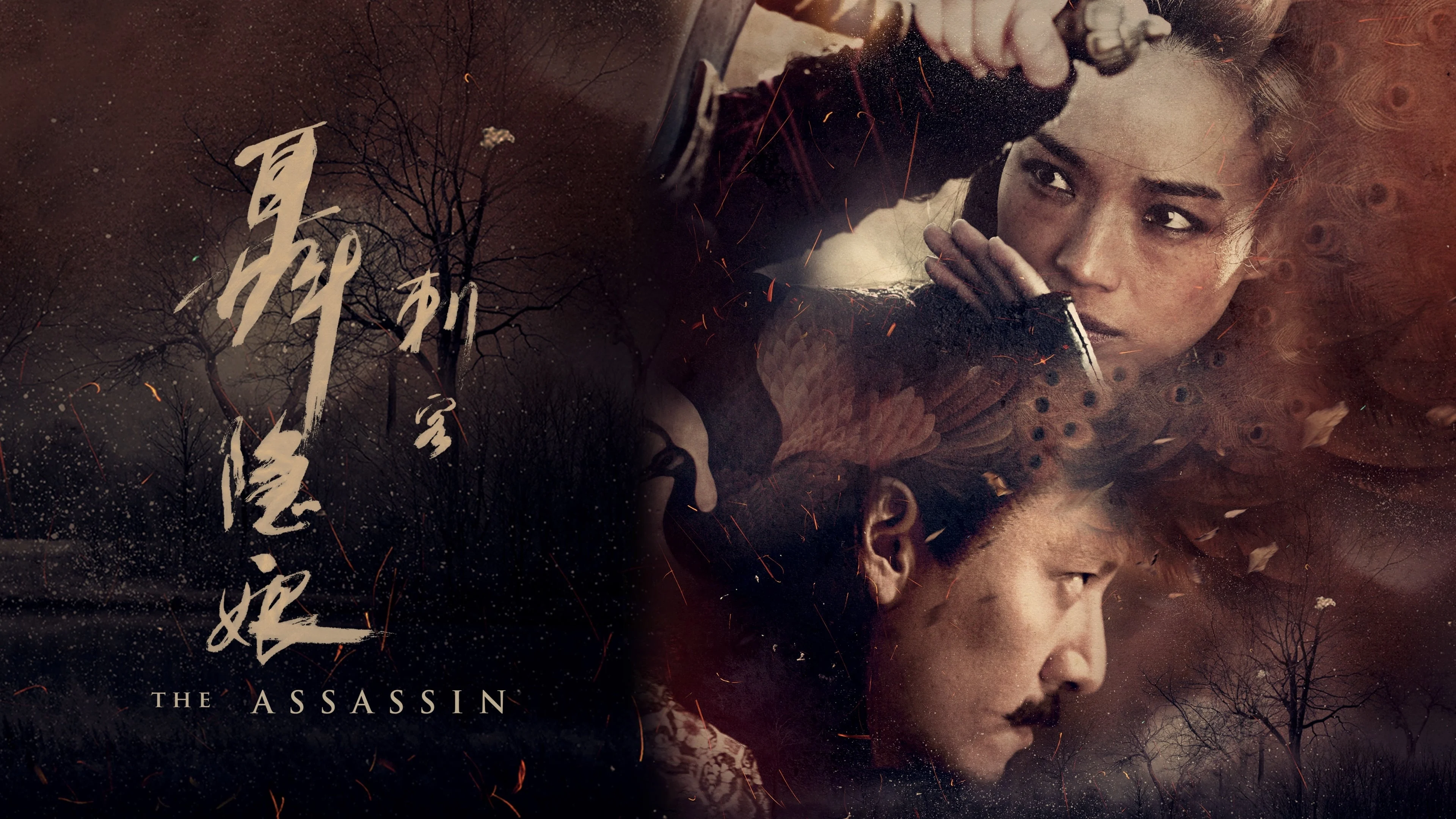 Thích Khách Nhiếp Ẩn Nương (The Assassin)