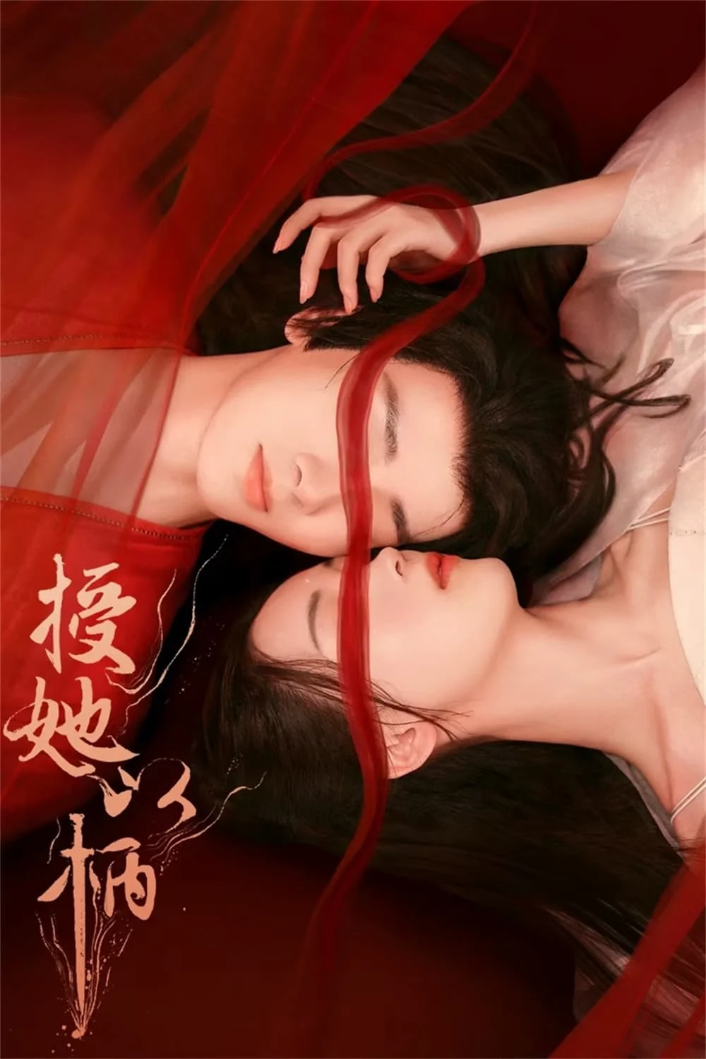 Poster phim Trao Nàng Bàn Tay