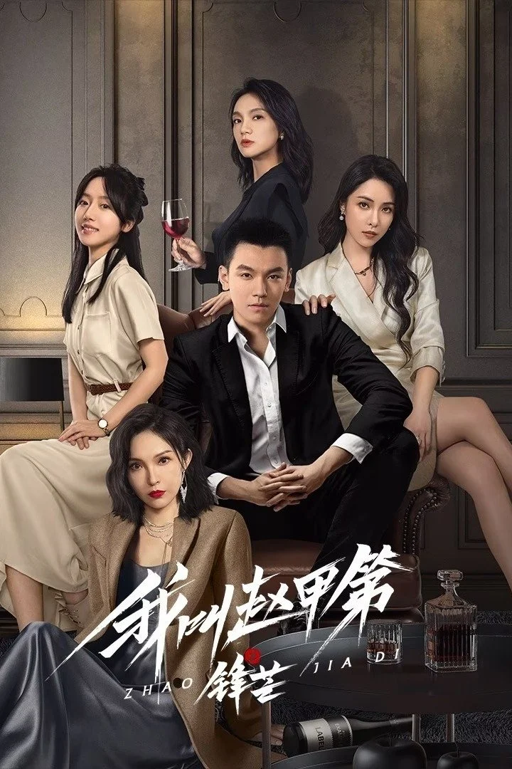 Poster phim Tôi Là Triệu Giáp Đệ: Phong Mang