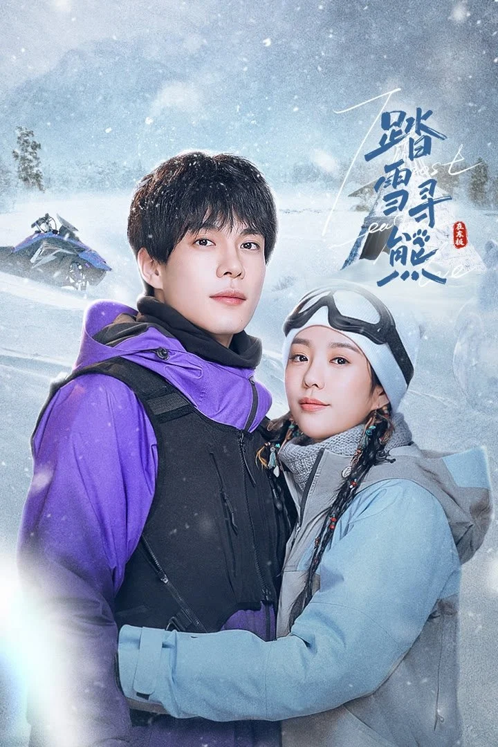 Poster phim Đạp Tuyết Tầm Hùng