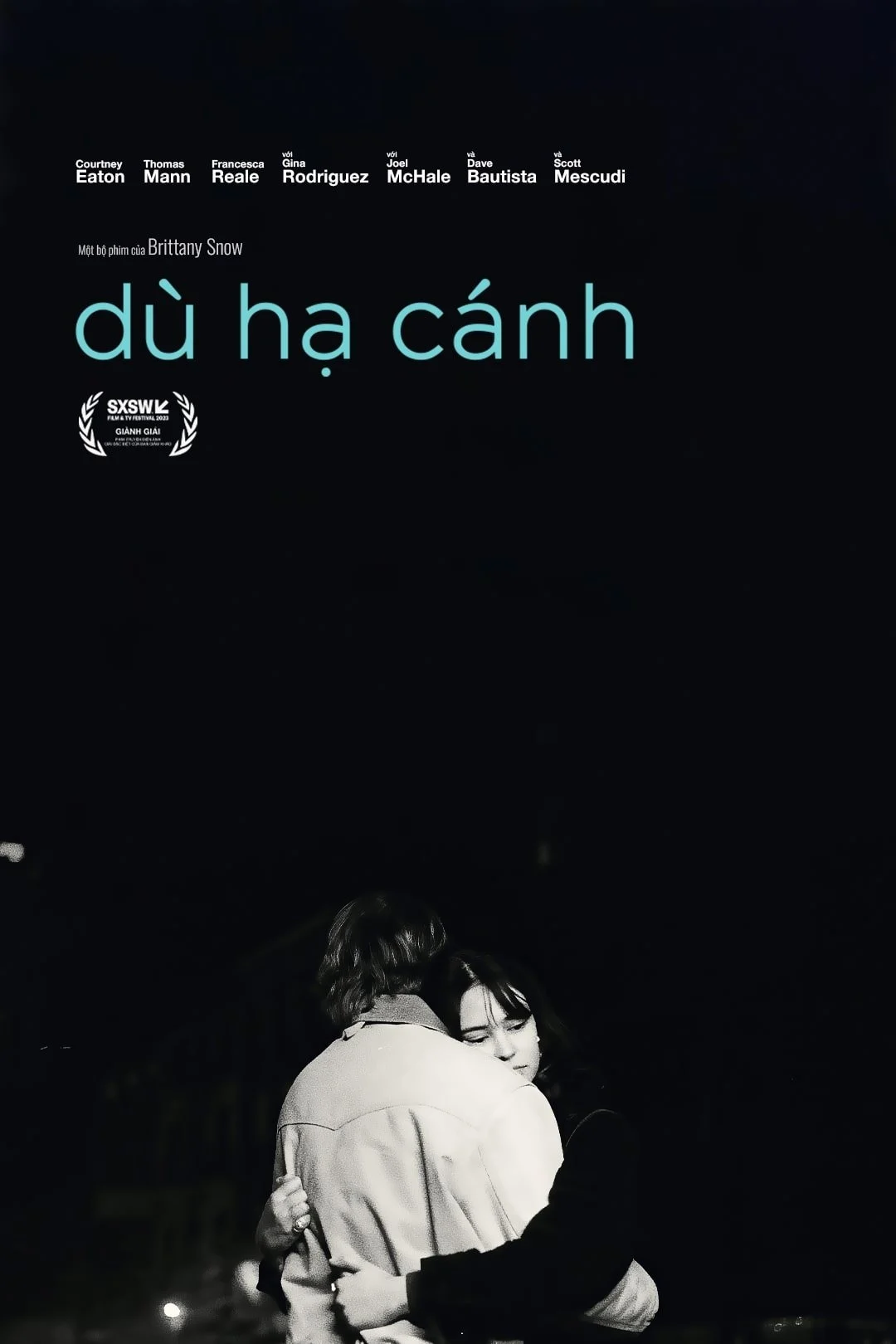 Poster phim Dù hạ cánh