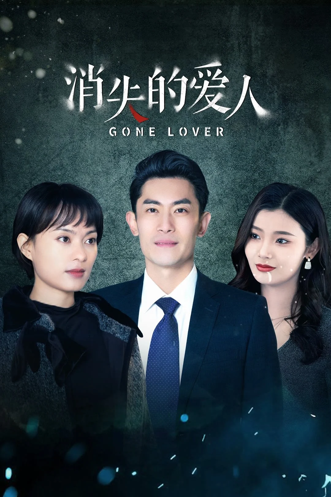 Poster phim Người Yêu Bị Mất Tích
