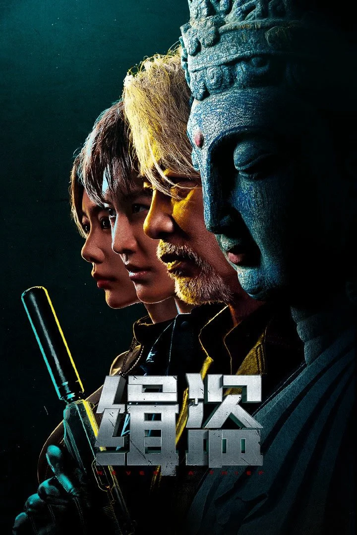 Poster phim Truy Bắt Đạo Tặc