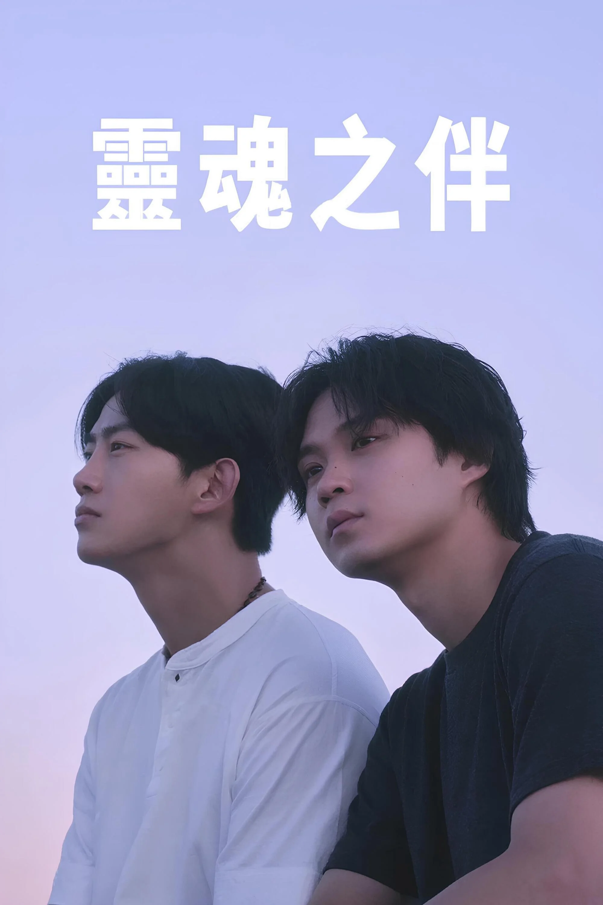 Poster phim Bạn Tri Kỷ